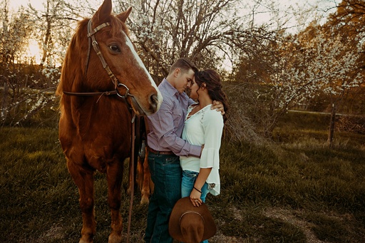 Horsemanship 102